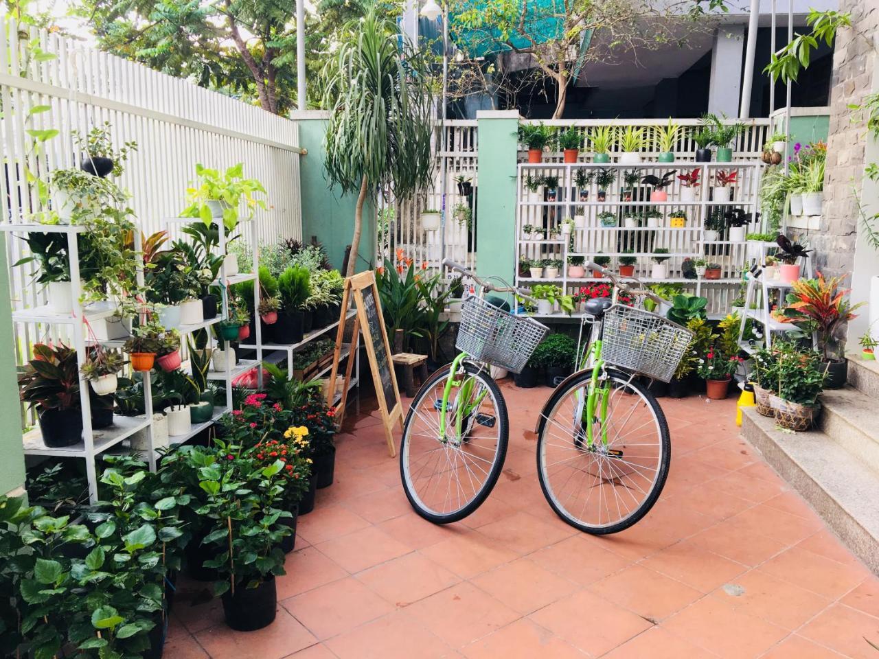 Bamboo Homestay Хуе Екстериор снимка